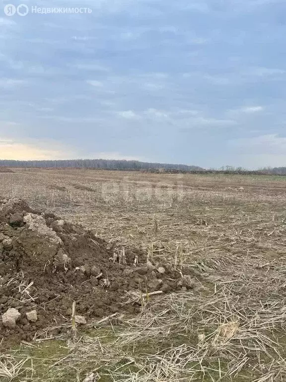 Участок в Московская область, городской округ Домодедово, село ... - Фото 0