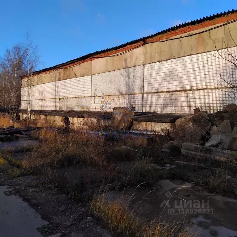 Склад в Московская область, Раменский городской округ, Косино СНТ 8 ... - Фото 0