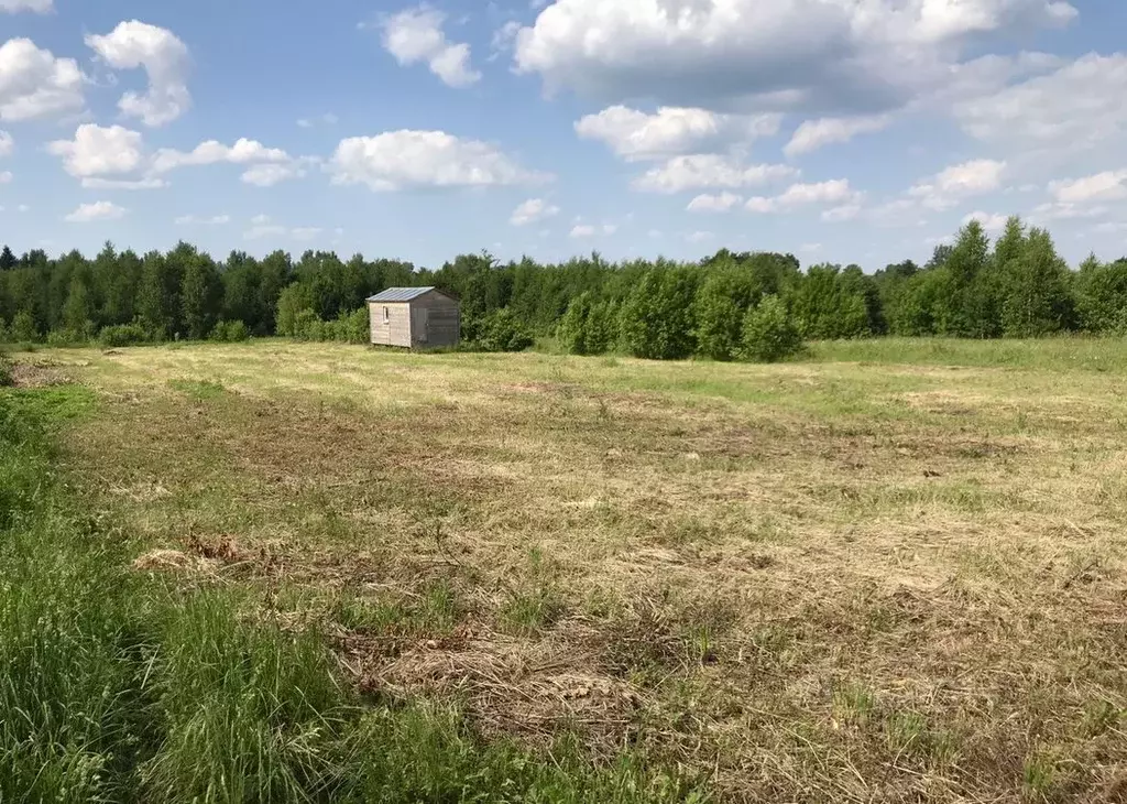 Участок в Владимирская область, Кольчугинский район, Раздольевское ... - Фото 1