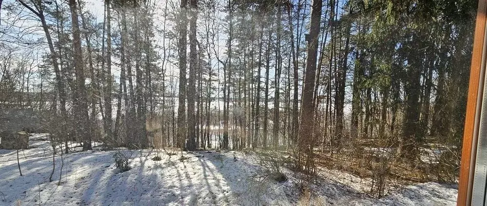 Дом в Московская область, Одинцовский городской округ, пос. Николина ... - Фото 2