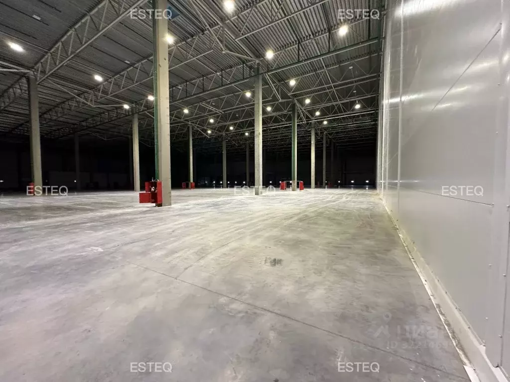 Склад в Новосибирская область, Новосибирский район, с. Толмачево ул. ... - Фото 1