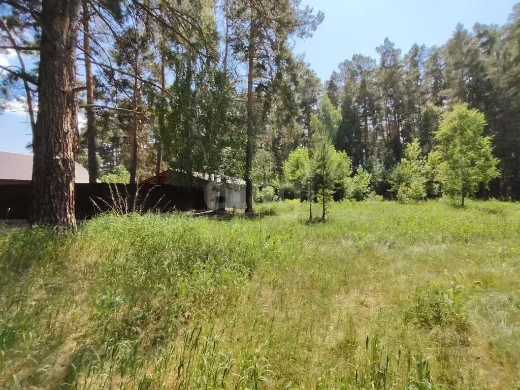 Участок в Курганская область, Шадринск ул. Свердлова (13.0 сот.) - Фото 0