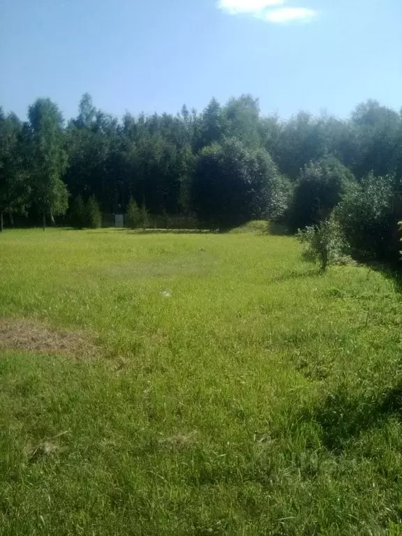 Участок в Владимирская область, Собинский муниципальный округ, д. ... - Фото 2