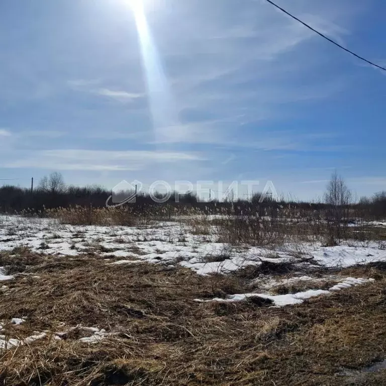 Участок в Тюменская область, Тюмень Большое Царево-1 СНТ,  (9.42 сот.) - Фото 1