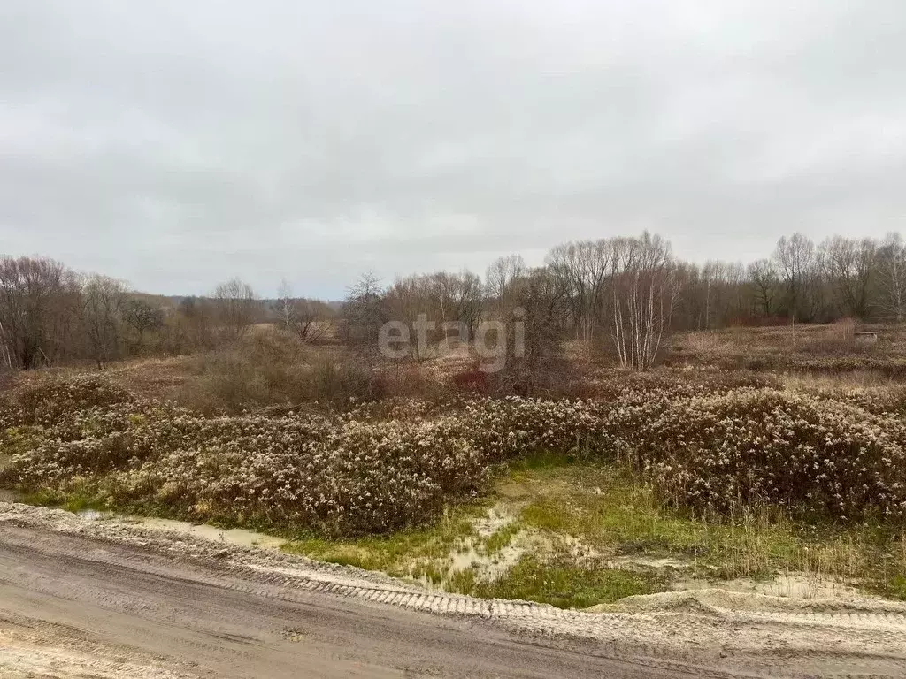 Участок в Калининградская область, Калининград Золотой Петушок ДНТ,  ... - Фото 0