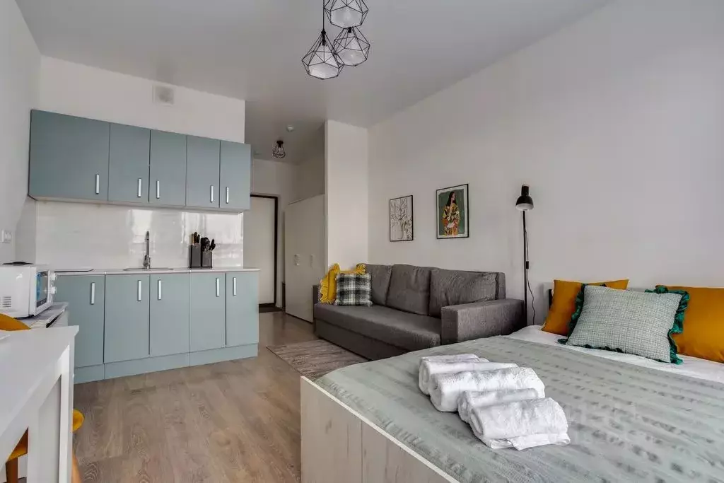 1-к кв. Московская область, Люберцы Зенино ЖК Самолет мкр, ул. ... - Фото 2