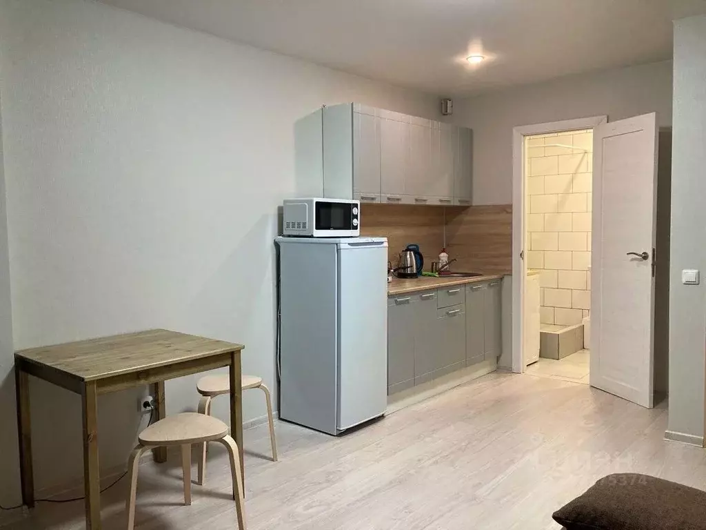 Студия Свердловская область, Екатеринбург ул. Рощинская, 44 (25.0 м) - Фото 1