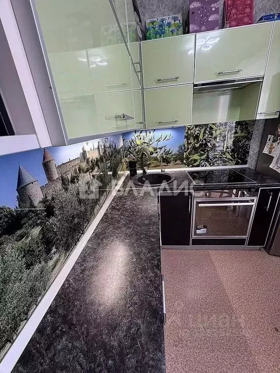 1-к кв. Нижегородская область, Нижний Новгород Бурнаковская ул., 63 ... - Фото 2