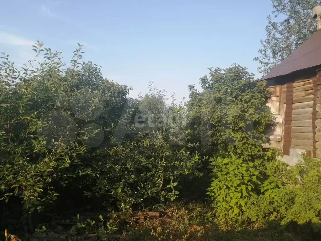 Участок 5,8 сот. (СНТ, ДНП) - Фото 1