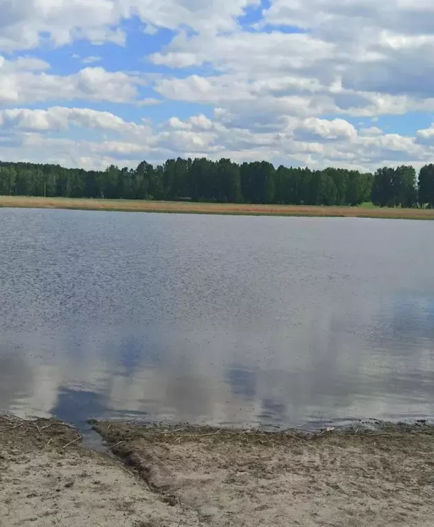 Участок в Новосибирская область, Ордынский район, Новопичуговский ... - Фото 1