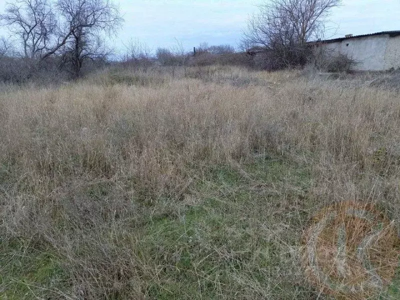 Участок в Крым, Саки ул. Крымская (8.95 сот.) - Фото 2