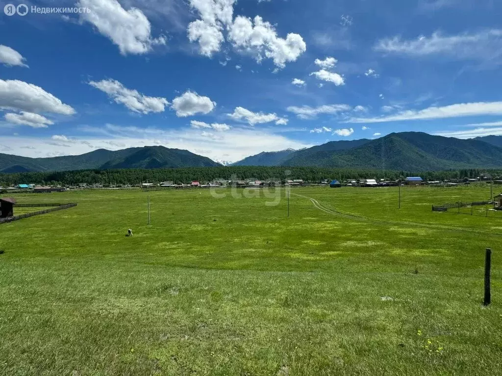 Участок в Усть-Коксинский район, село Тюнгур (15.2 м) - Фото 2