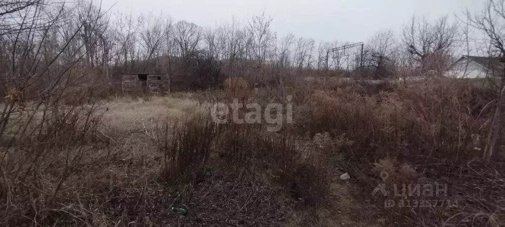 Участок в Белгородская область, Алексеевка пл. Победы (4.0 сот.) - Фото 0