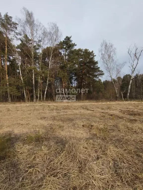 Участок в Московская область, Серпухов городской округ, д. ... - Фото 0