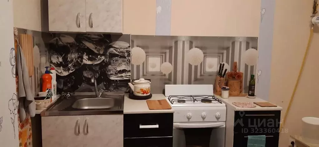 2-к кв. Нижегородская область, Богородский муниципальный округ, д. ... - Фото 1