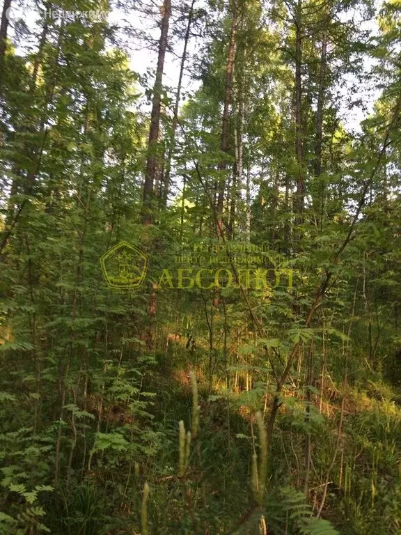 Участок в Свердловская область, Дегтярск (16 м) - Фото 1