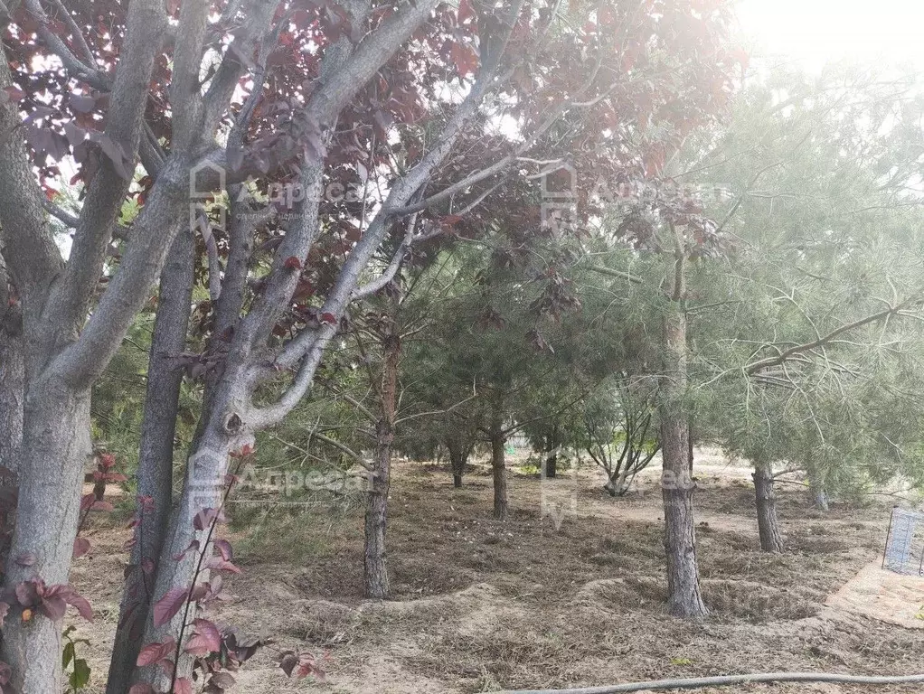 Дом в Волгоградская область, Светлоярский район, Большечапурниковское ... - Фото 1