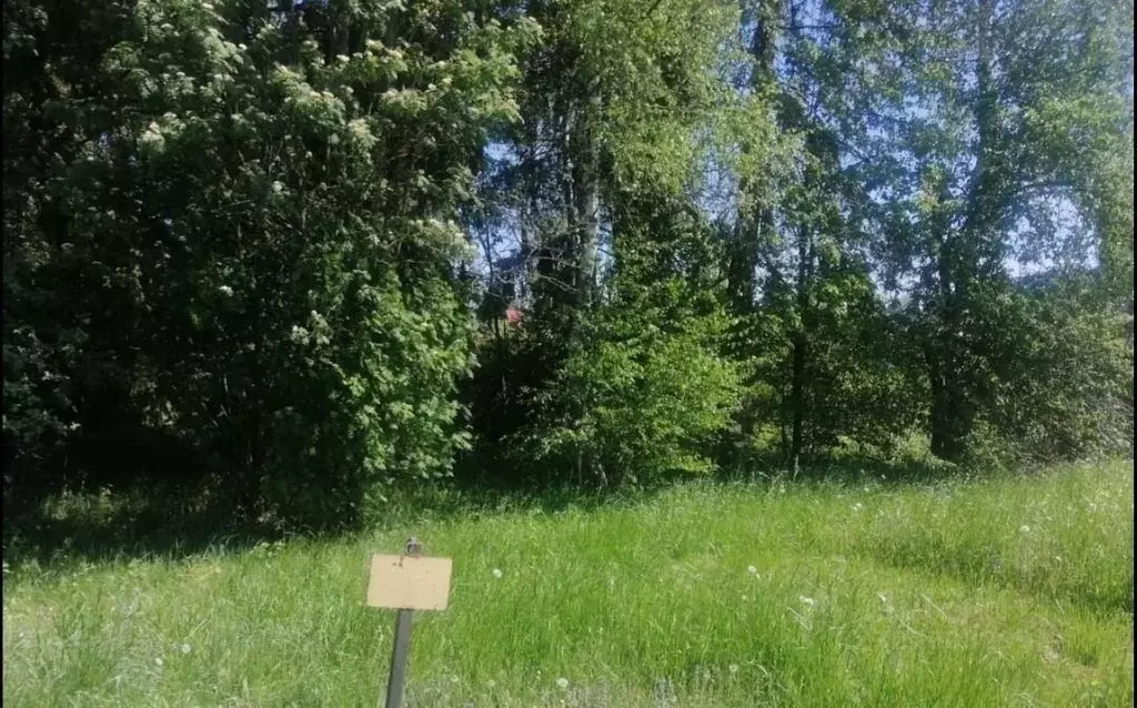 Участок, 17.9 сот., поселения (ижс) - Фото 2