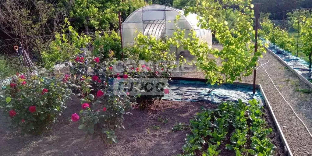 Дом в Краснодарский край, Анапа муниципальный округ, Гостагаевская ... - Фото 2