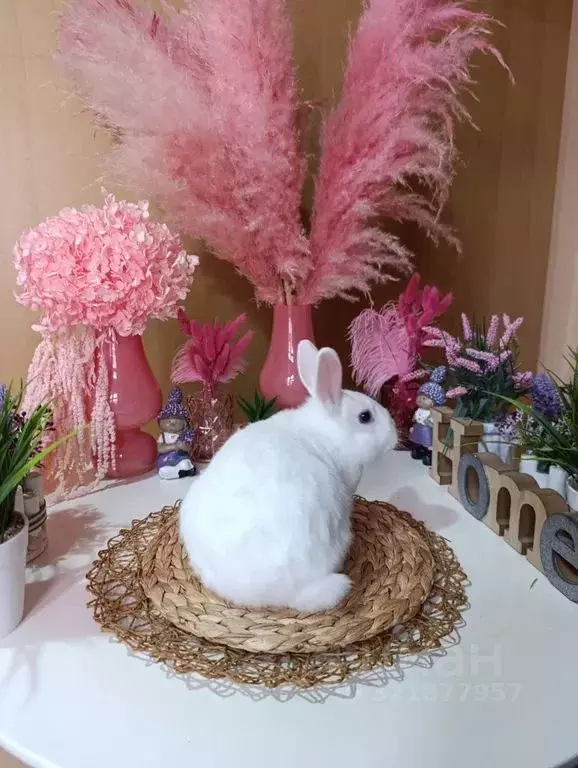 Дом в Ставропольский край, Кисловодск ул. Еськова, 9 (45 м) - Фото 2