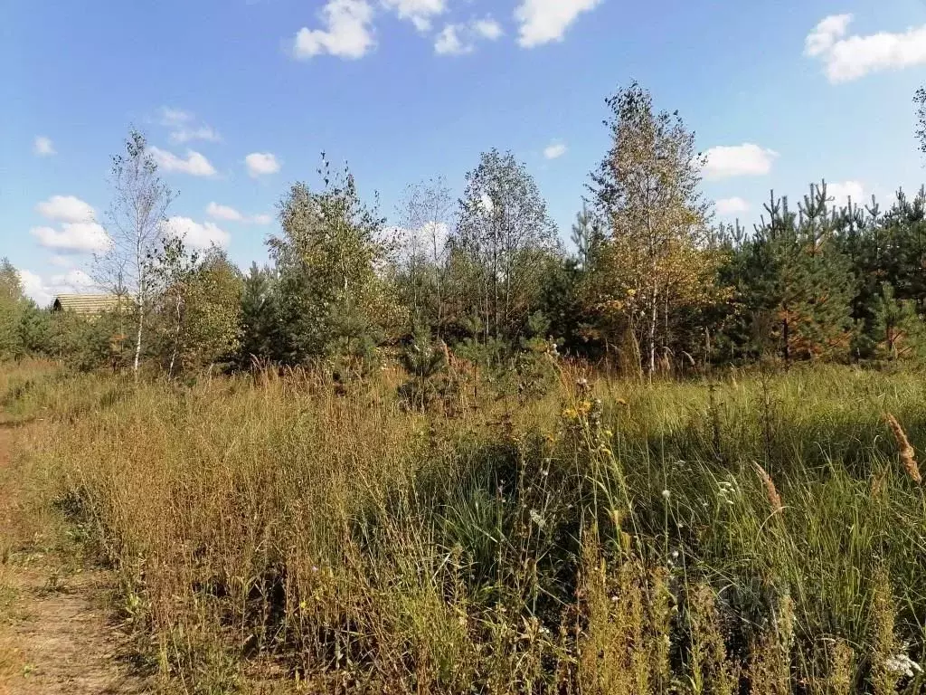 Участок в Владимирская область, Киржачский муниципальный округ, д. ... - Фото 2