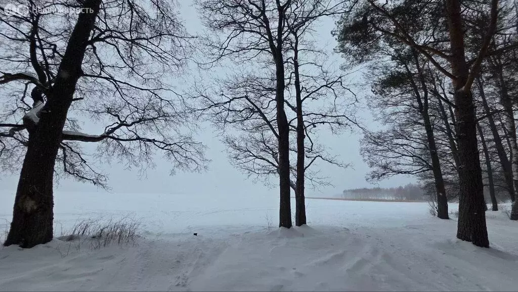 1-комнатная квартира: посёлок Тарасово, улица имени М. Панфилова, 27 ... - Фото 1