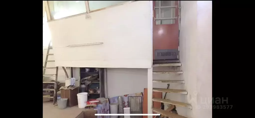 Помещение свободного назначения в Мурманская область, Мурманск ул. ... - Фото 1
