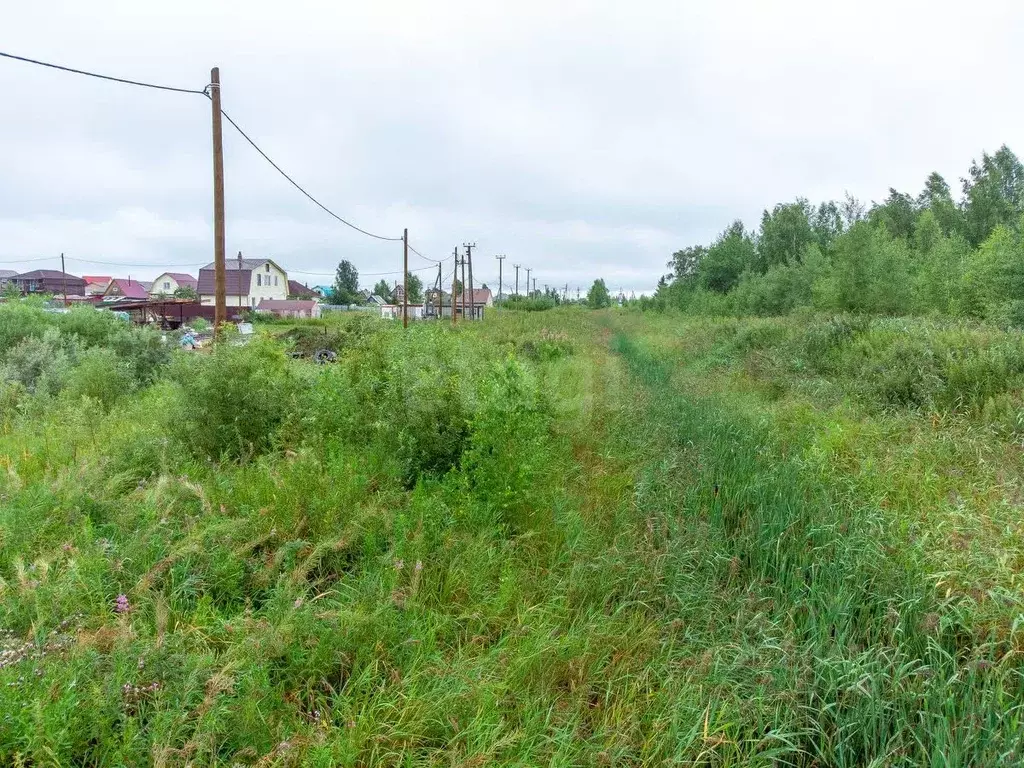Участок в Тюменская область, Тюмень Садовое товарищество Липовый ... - Фото 1
