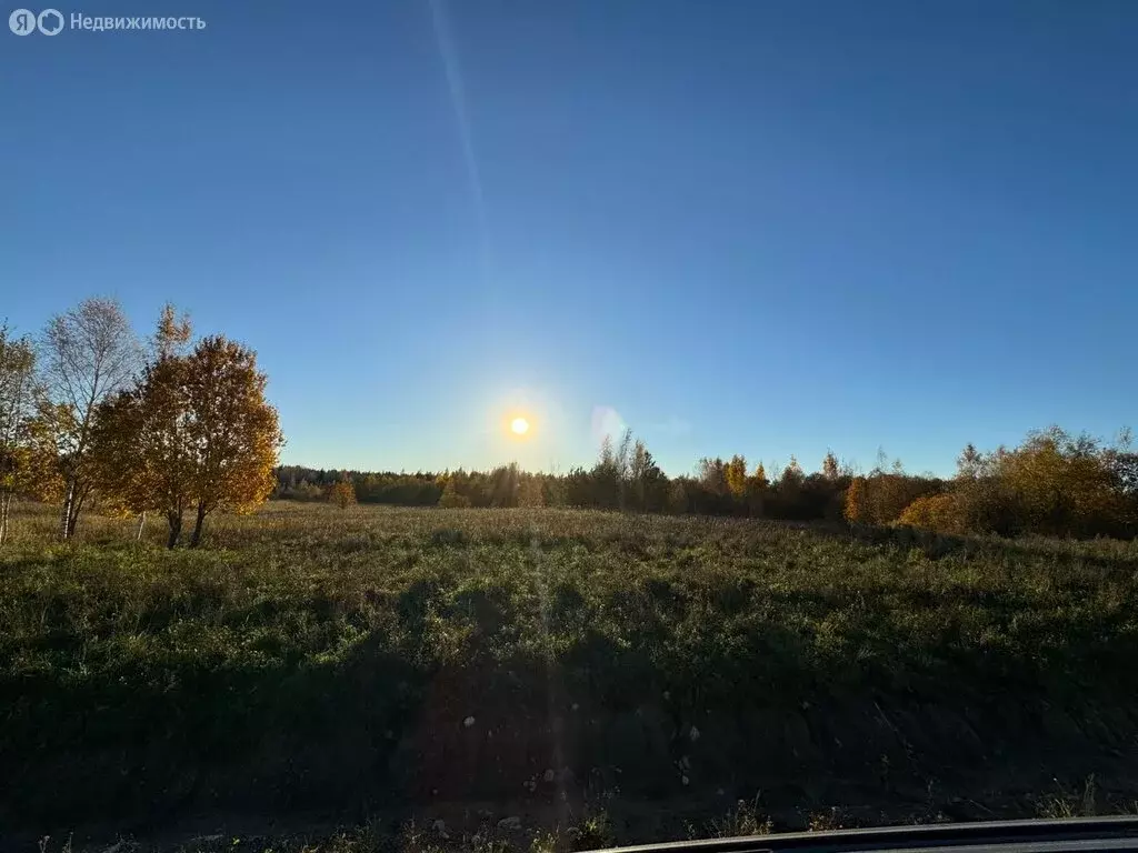 Участок в Низинское сельское поселение, территория ЗАО Петродворцовое, ... - Фото 0
