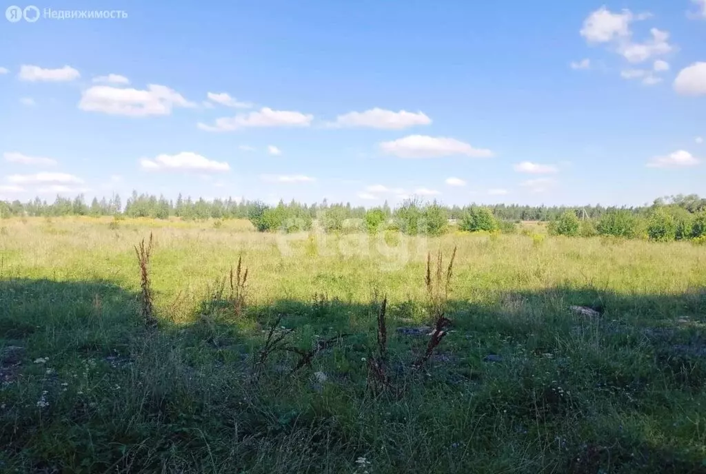Участок в Тульская область, Богородицк (12 м) - Фото 2