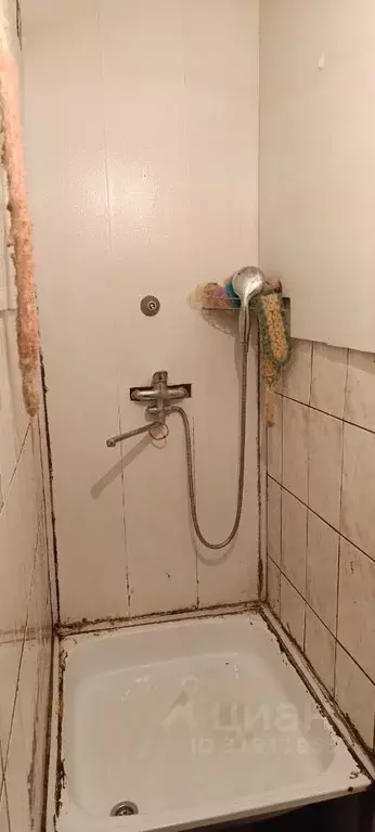Комната Алтайский край, Барнаул ул. Новосибирская, 4 (12.0 м) - Фото 1