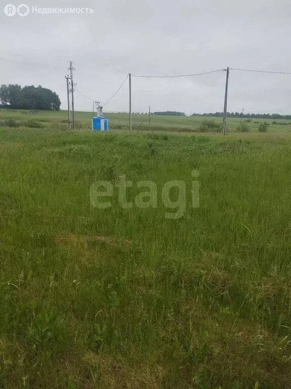 Участок в Республика Мордовия, Кочкуровский муниципальный округ, село ... - Фото 2