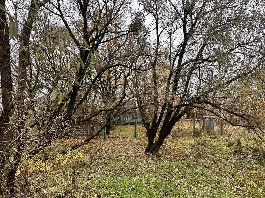 Участок в Москва Новобрехово хут., 1 (6.0 сот.) - Фото 2