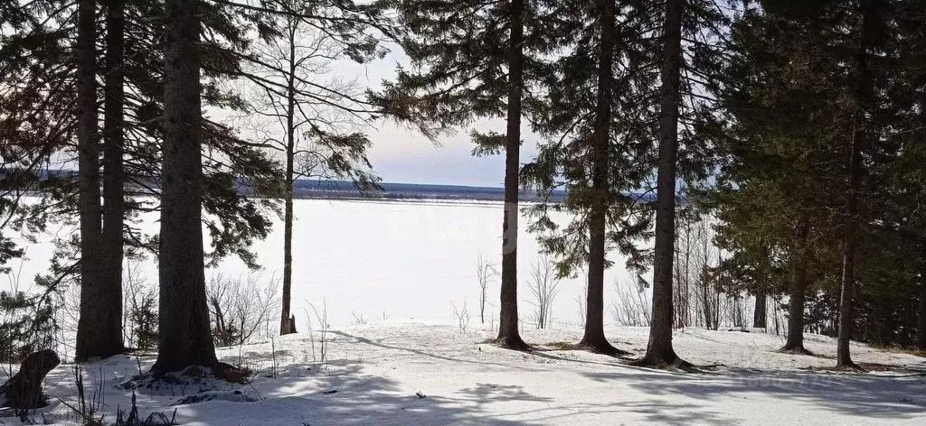 Участок в Коми, Усть-Цилемский район, Коровий Ручей муниципальное ... - Фото 0