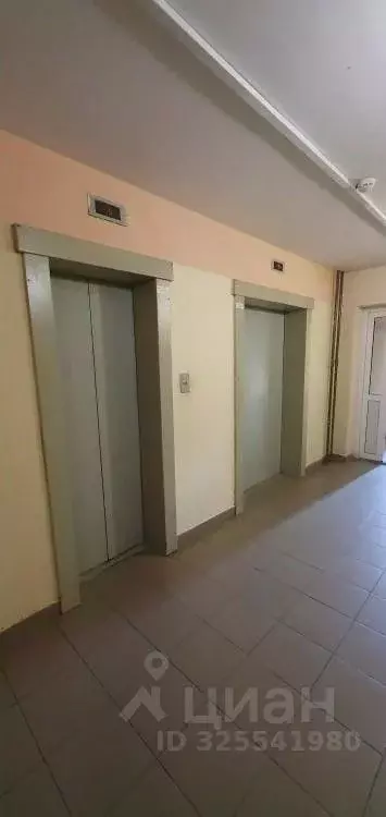 Студия Свердловская область, Березовский Восточная ул., 5 (29.9 м) - Фото 2