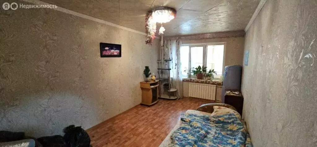 2-комнатная квартира: Арсеньев, Октябрьская улица, 63/1 (52.5 м) - Фото 0