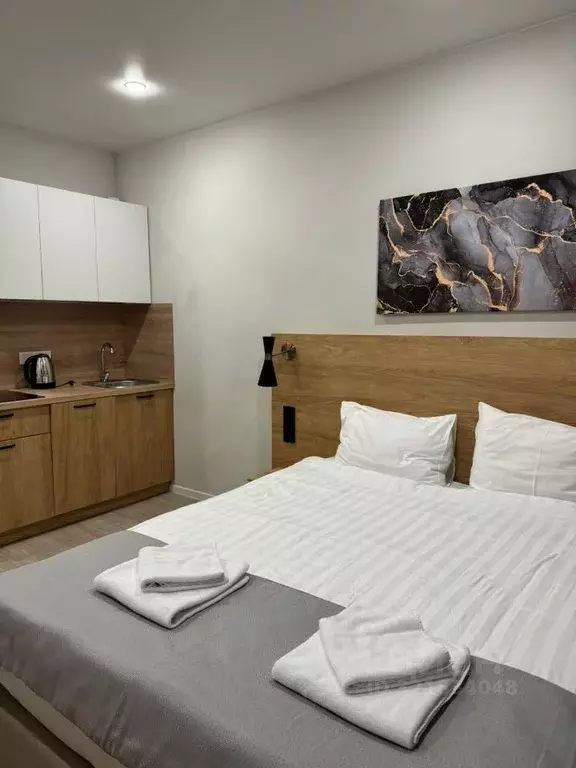 Студия Новосибирская область, Новосибирск ул. Кирова, 113/2 (28.0 м) - Фото 1