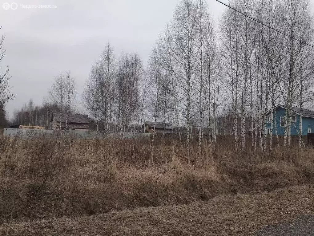 Участок в Московская область, городской округ Ступино, коттеджный ... - Фото 1