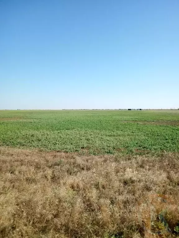 Участок в Крым, Сакский район, с. Штормовое  (6.0 сот.) - Фото 0