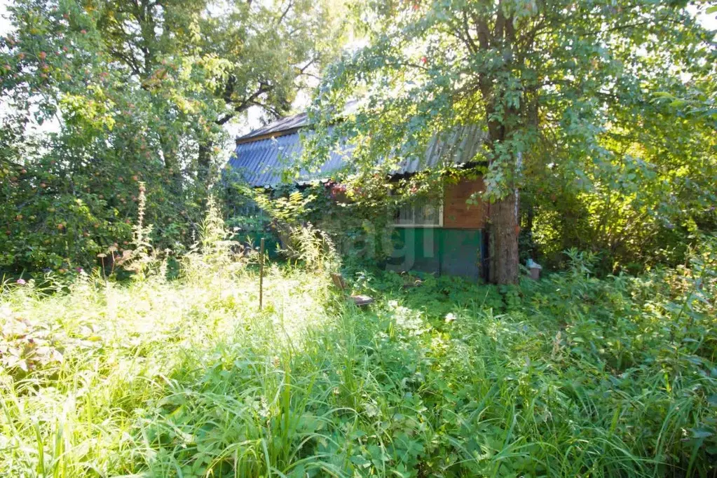 Дом в Калужская область, Мещовский район, Кудринская с/пос, с. Мошонки ... - Фото 2