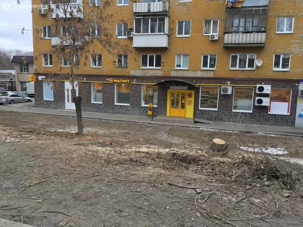 Помещение свободного назначения (250 м) - Фото 1