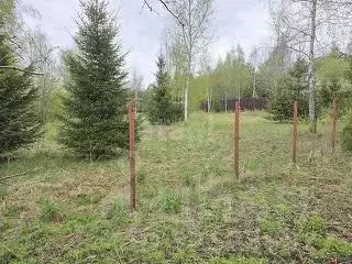 Участок в Московская область, Щелково городской округ, Слободской кв-л ... - Фото 0