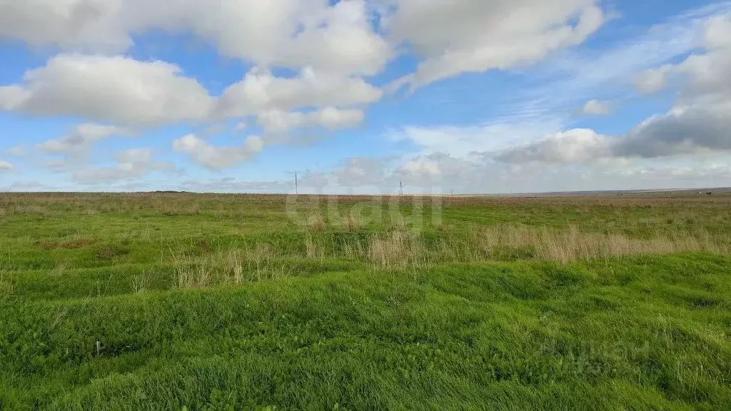 Участок в Крым, Советский район, с. Ильичево ул. Садовая (748.24 сот.) - Фото 1