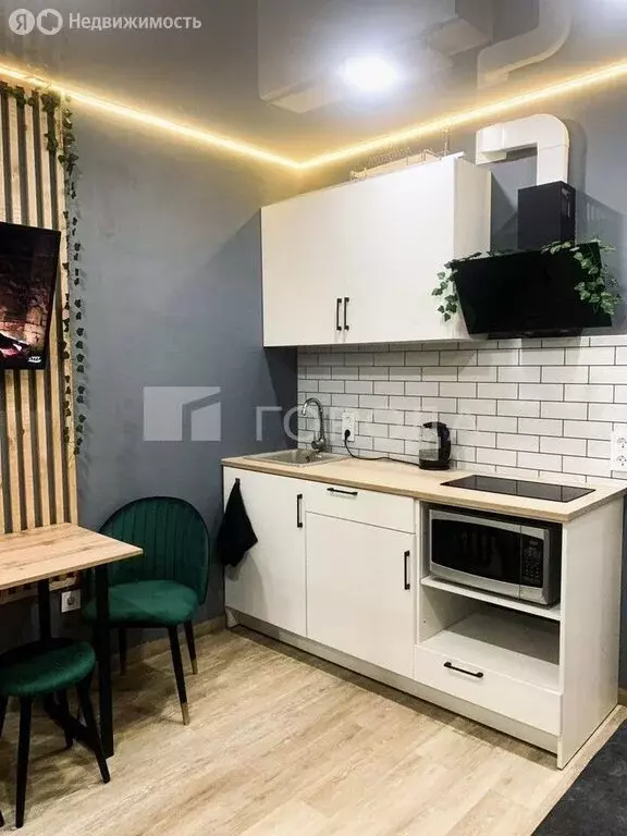 Квартира-студия: Новосибирск, улица Забалуева, 92 (27.5 м) - Фото 1
