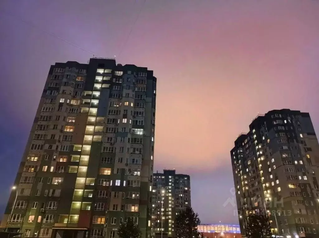 1-к кв. Нижегородская область, Нижний Новгород Мещерское Озеро ... - Фото 0