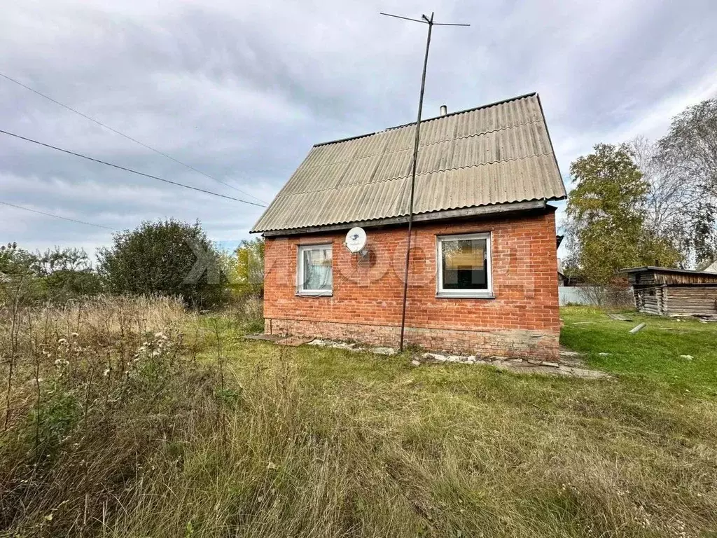 Дом в Новосибирская область, Ордынский район, с. Вагайцево ул. ... - Фото 2