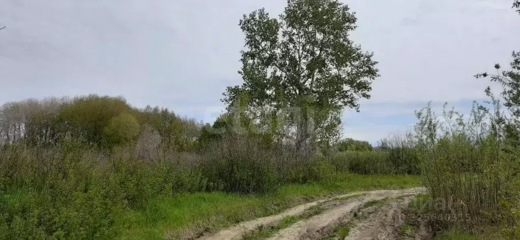 Участок в Тюменская область, Тюменский муниципальный округ, ... - Фото 1