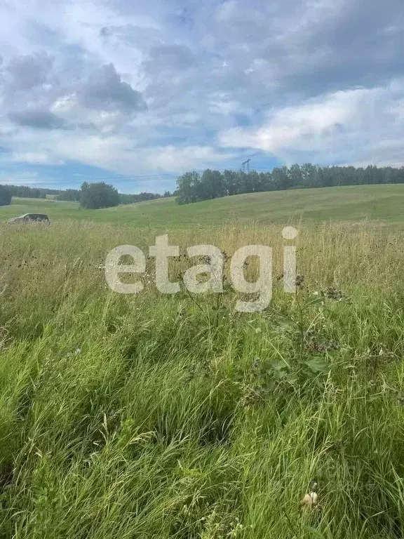 Участок в Красноярский край, Красноярск  (10.0 сот.) - Фото 2