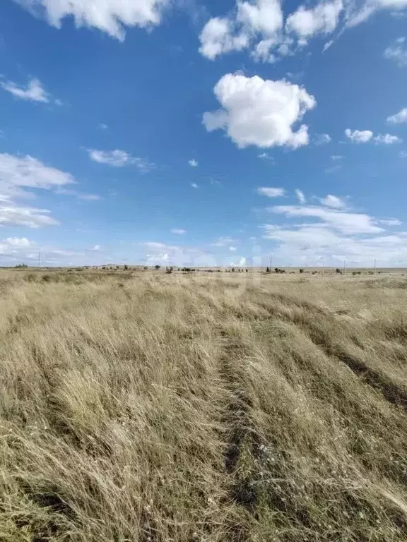 Участок в Хакасия, Алтайский район, с. Белый Яр ул. Орловская (12.2 ... - Фото 0