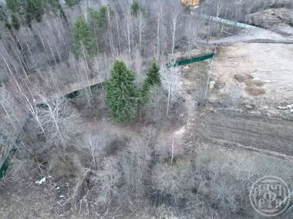 Участок в Ленинградская область, Выборгский район, Первомайское с/пос, ... - Фото 2